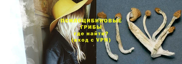 mdpv Зеленодольск