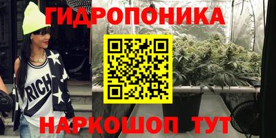 гашик Балахна