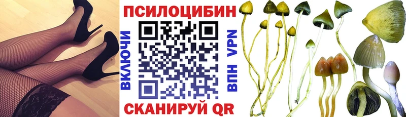 blacksprut tor  Спасск-Дальний  Псилоцибиновые грибы Psilocybe  где можно купить  
