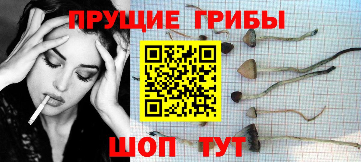 Спасск-Дальний  Псилоцибиновые грибы Cubensis  Псилоцибиновые грибы Magic Shrooms  Вход с VPN 