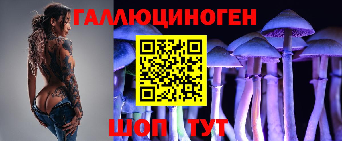 Галлюциногенные грибы мухоморы  Псилоцибиновые грибы GOLDEN TEACHER  Спасск-Дальний 